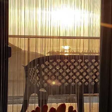 Năvodari Apartament Andy Mamaia Nord 30 M De Plaja מראה חיצוני תמונה