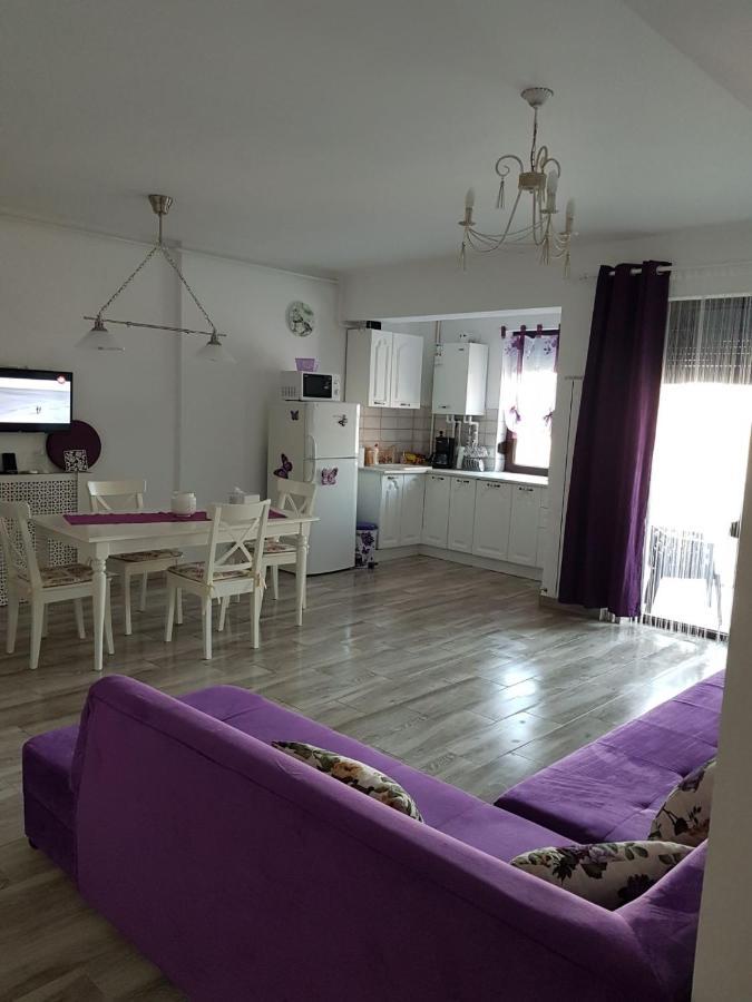 Năvodari Apartament Andy Mamaia Nord 30 M De Plaja מראה חיצוני תמונה